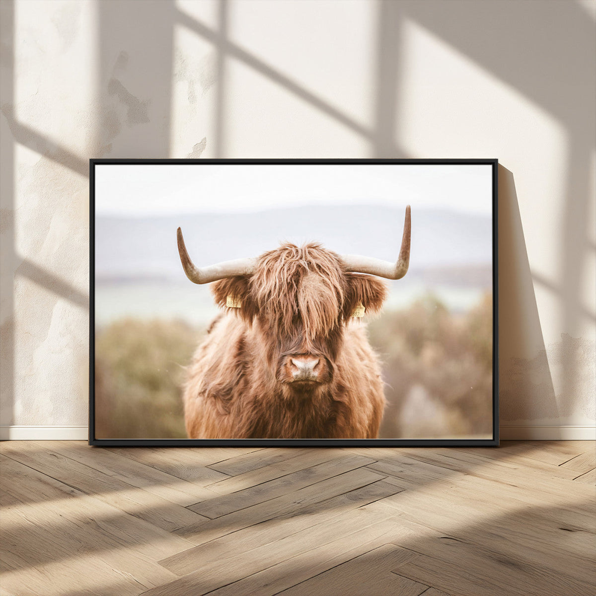 Scottish Serene Highland Cow Canvas Wall Art – Serene