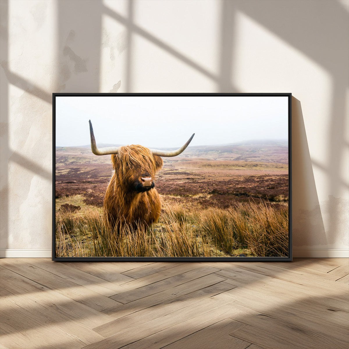 Scottish Highland Cow Canvas Wall Art – Rustic Farmhouse