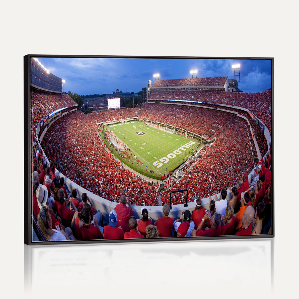 Dooley Stadium Wall Art, Sports Arena Canvas Print, Dooley