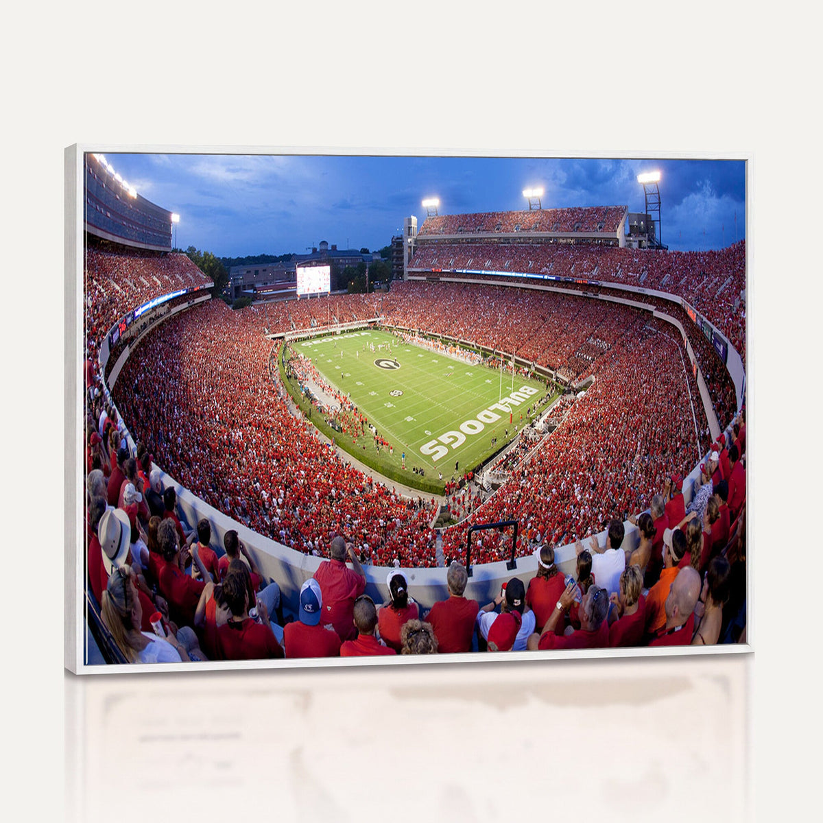 Dooley Stadium Wall Art, Sports Arena Canvas Print, Dooley