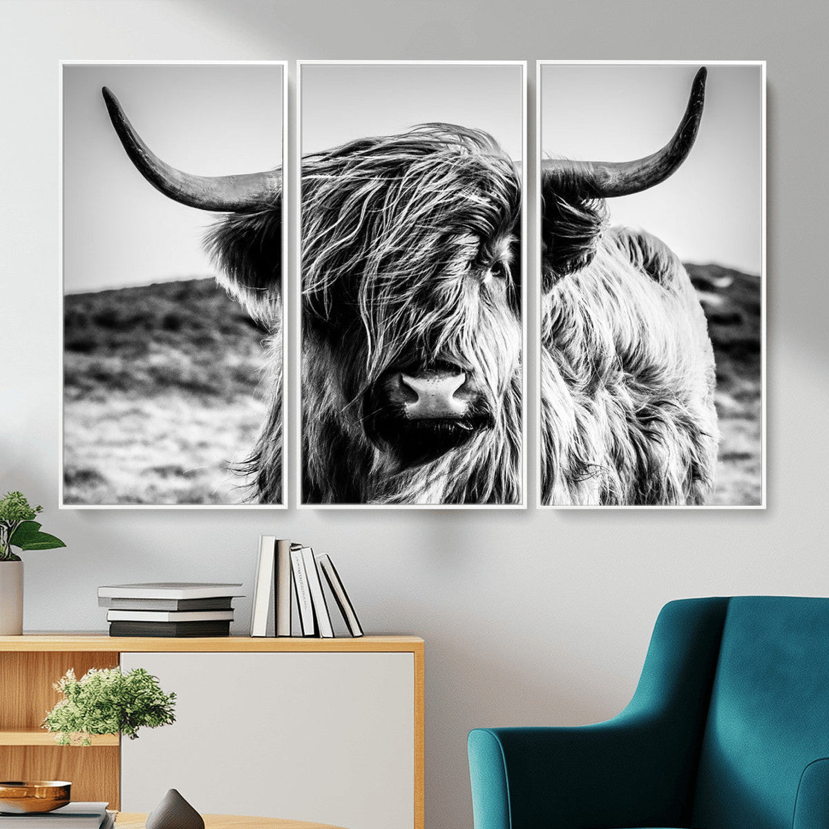 Black and White Scottish Cow Canvas Wall Art Highland Cattle