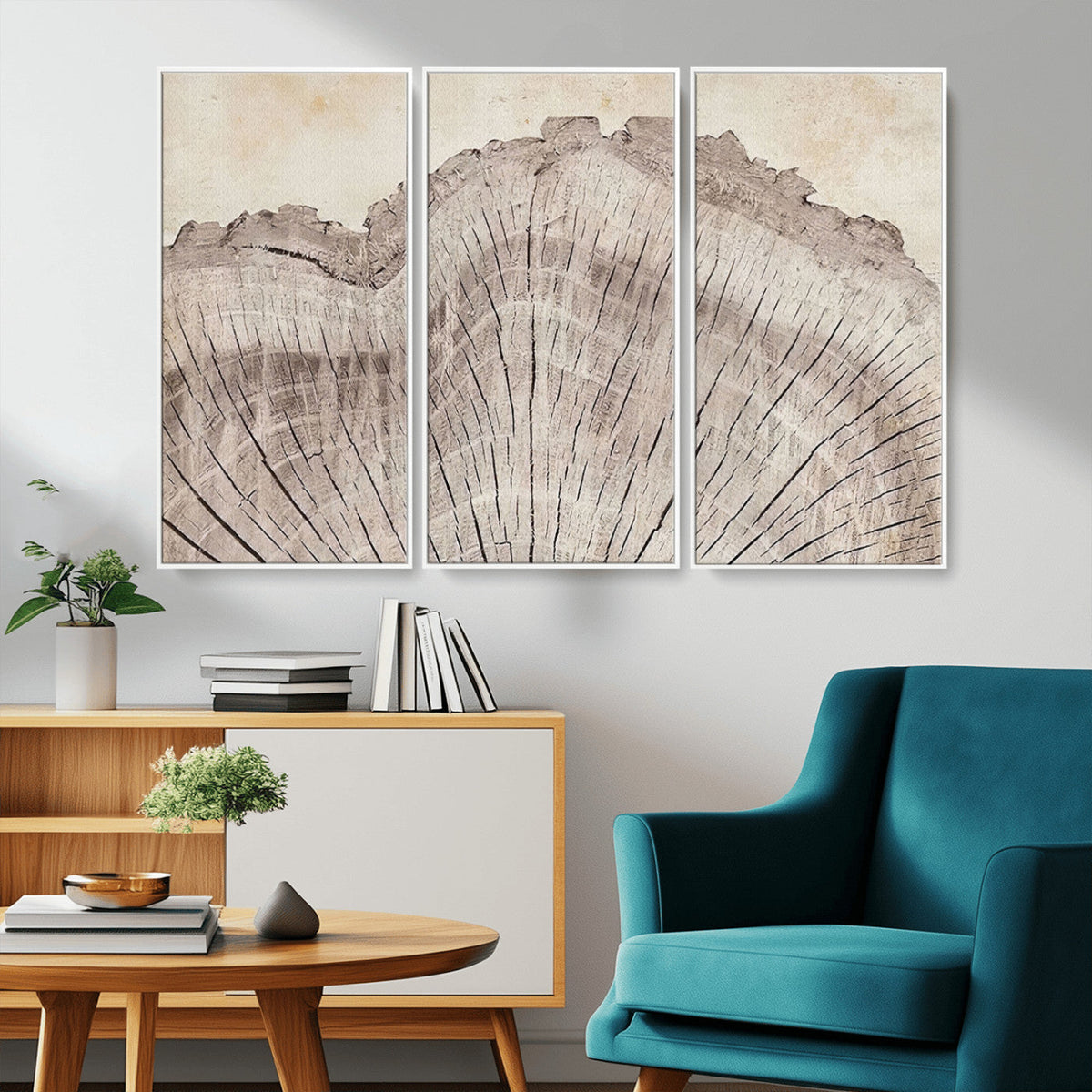 Tree Ring Wall Art Triptych, Rustic Wood Ring Canvas Print,