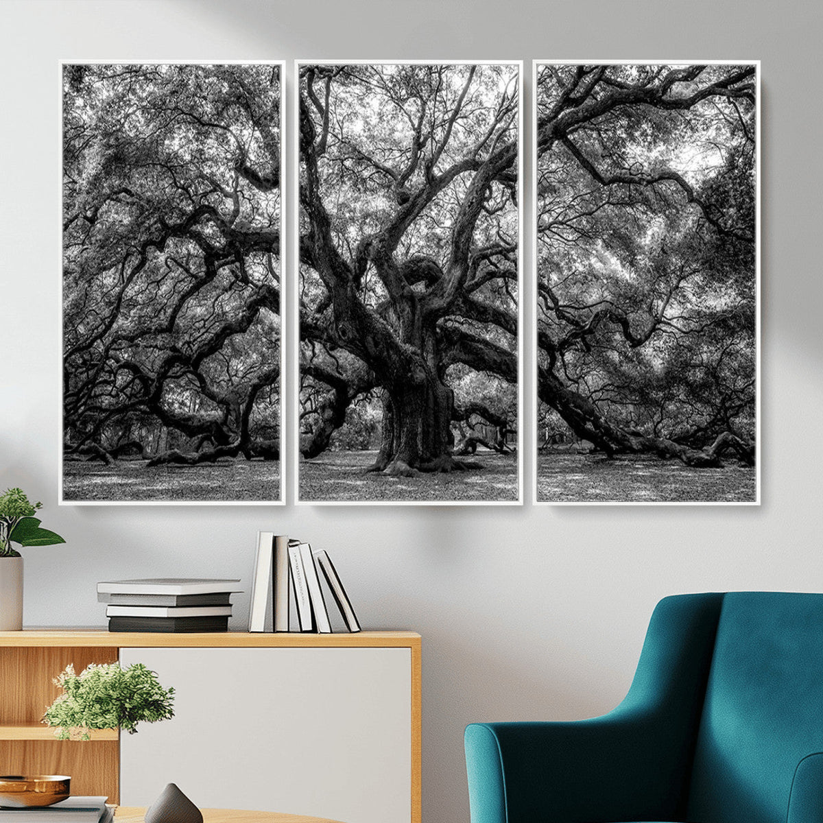 Black and White Old Angel Oak Tree Wall Art Canvas Print