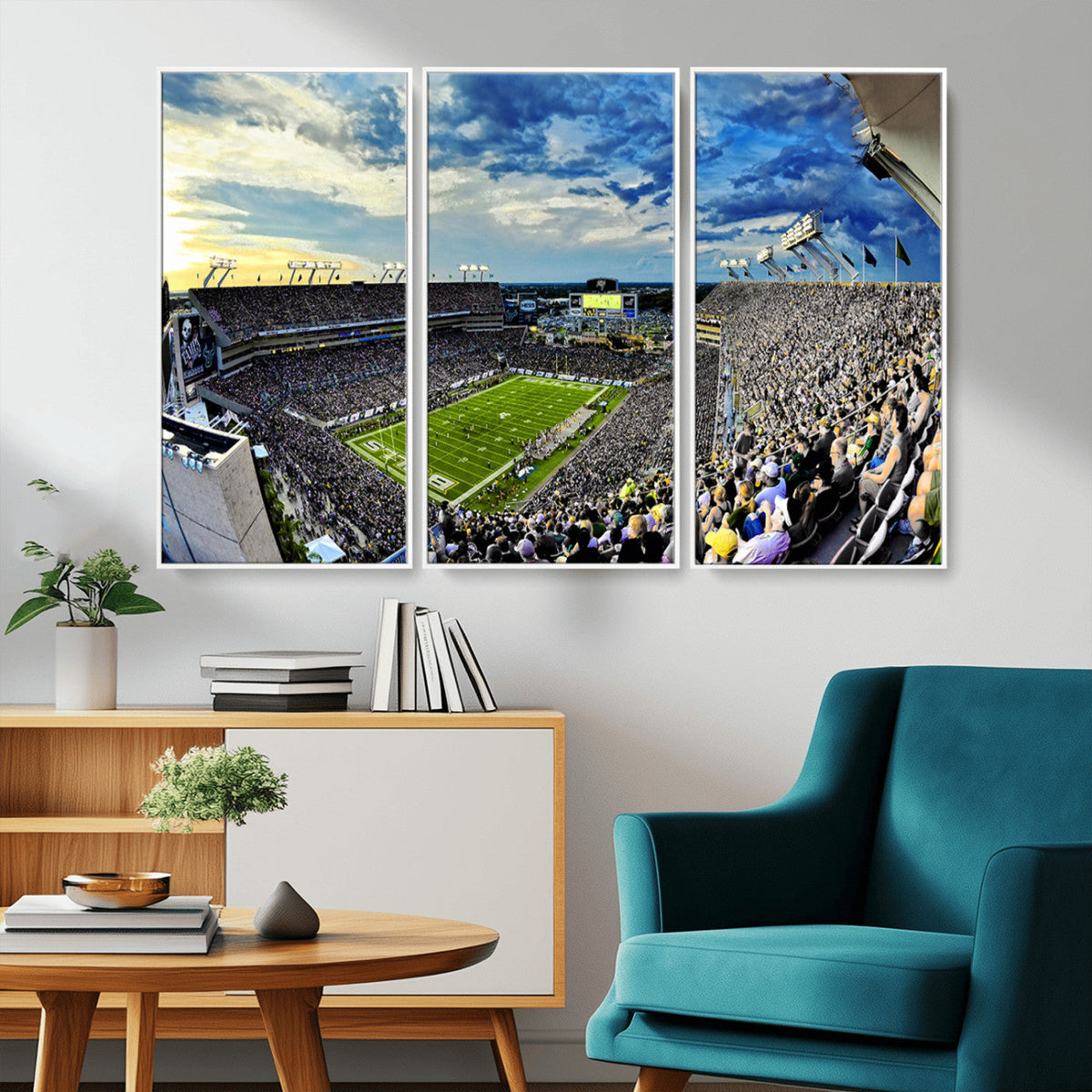 Framed USF Bulls Football Team Print - Tampa Raymond James