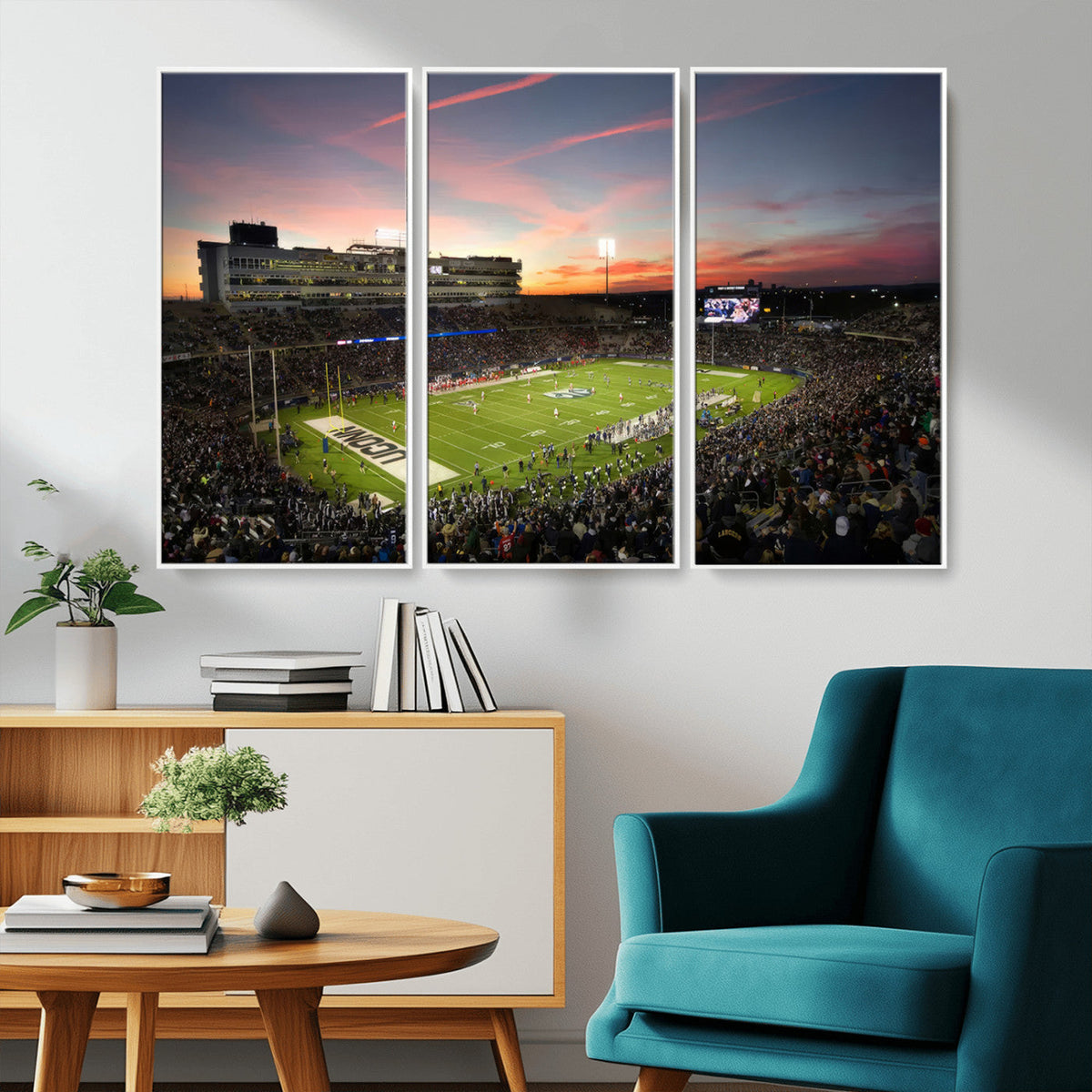 The University of Connecticut UCONN Huskies Football Team