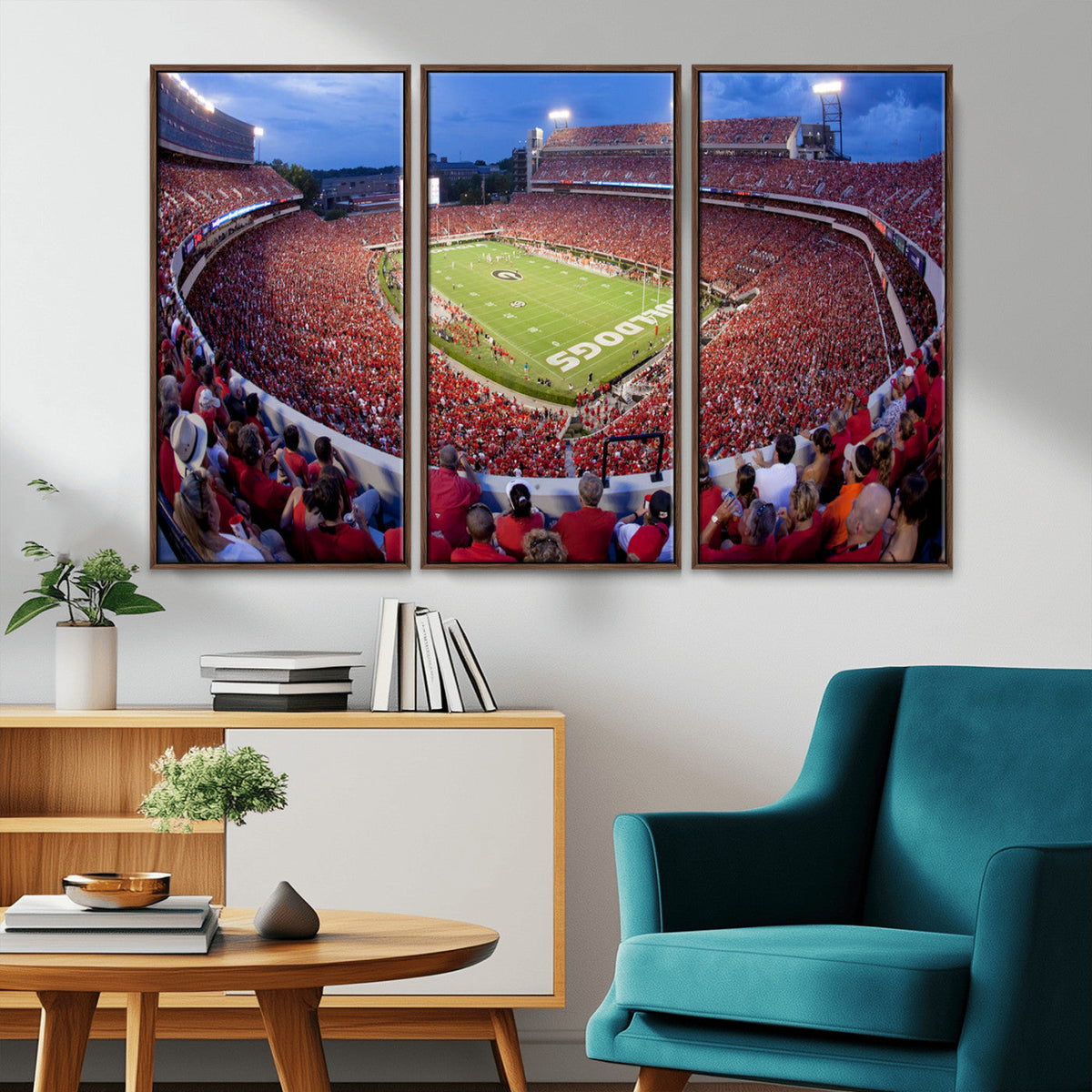 Dooley Stadium Wall Art, Sports Arena Canvas Print, Dooley
