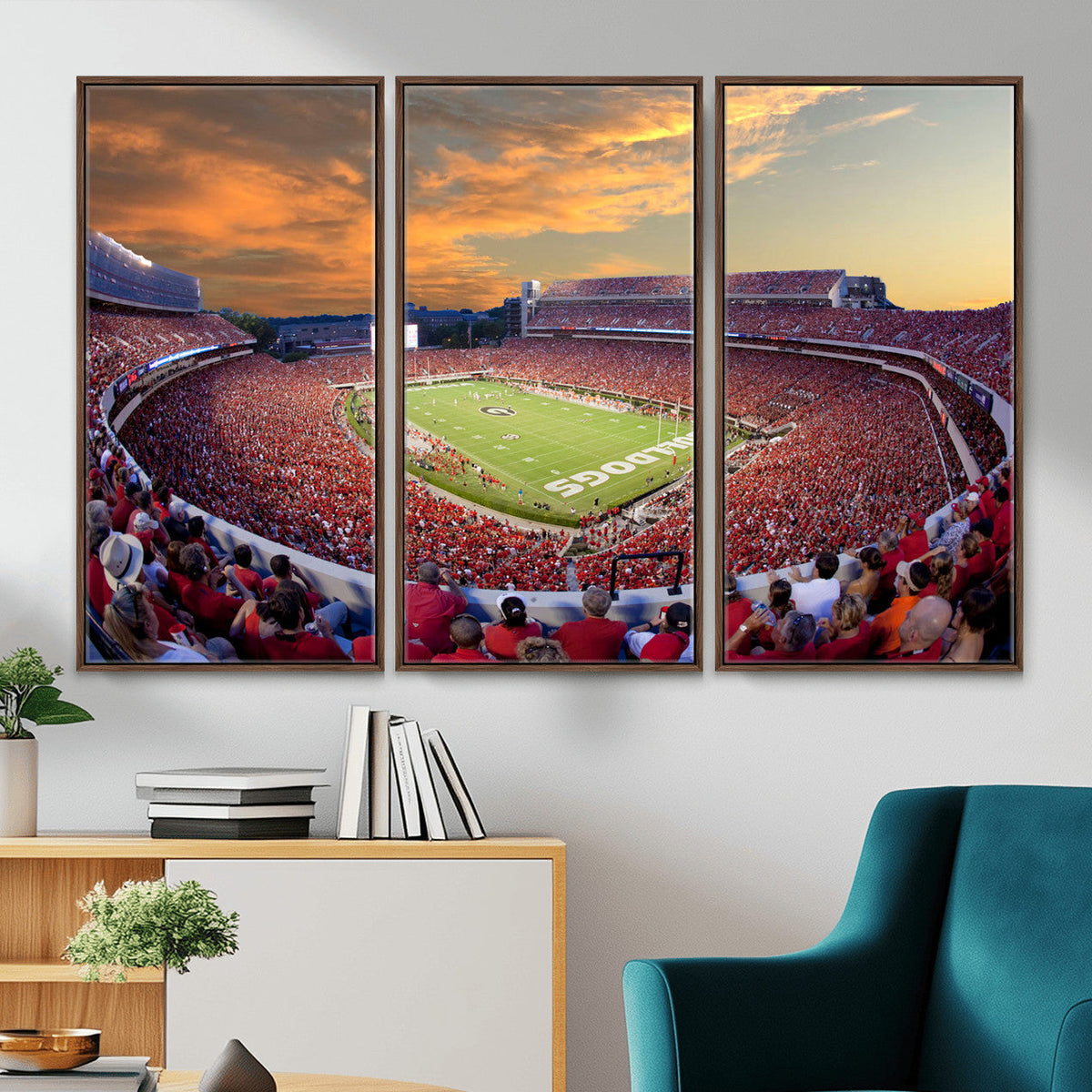 Dooley Stadium Wall Art, Sports Arena Canvas Print, Dooley
