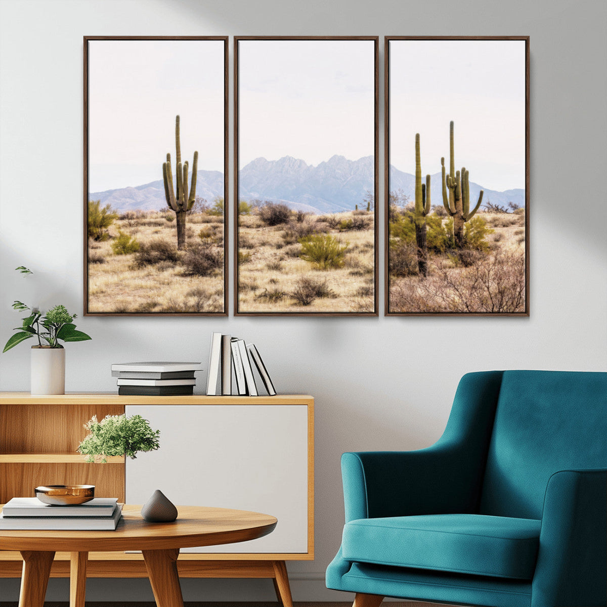 Arizona Desert Wall Art Print | Arizona Desert Canvas Print