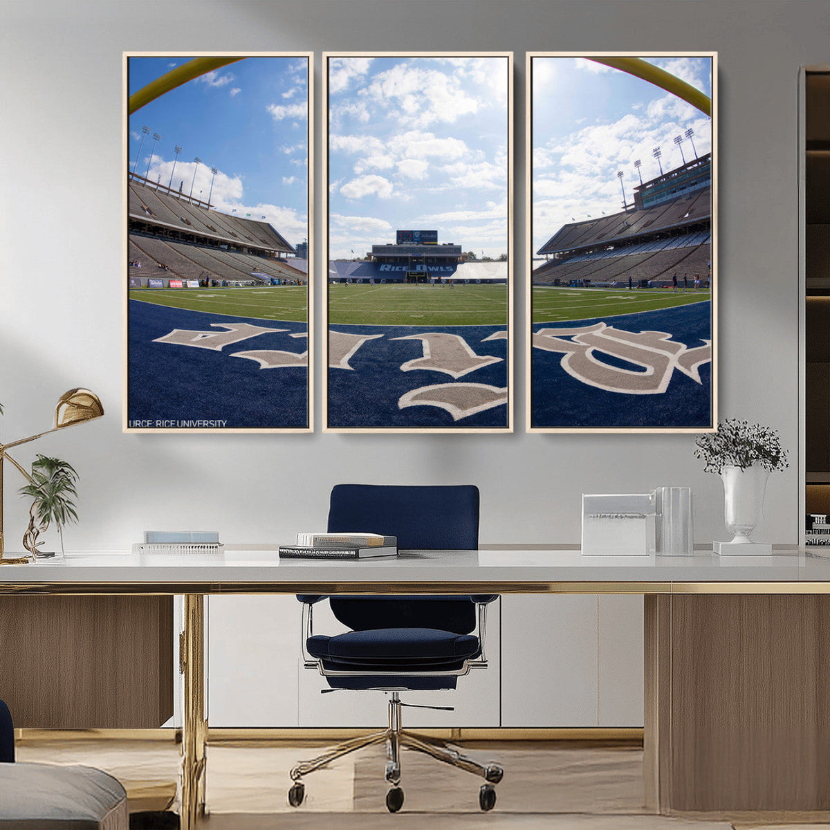 Rice University Owls Football Team Print - Houston Rice