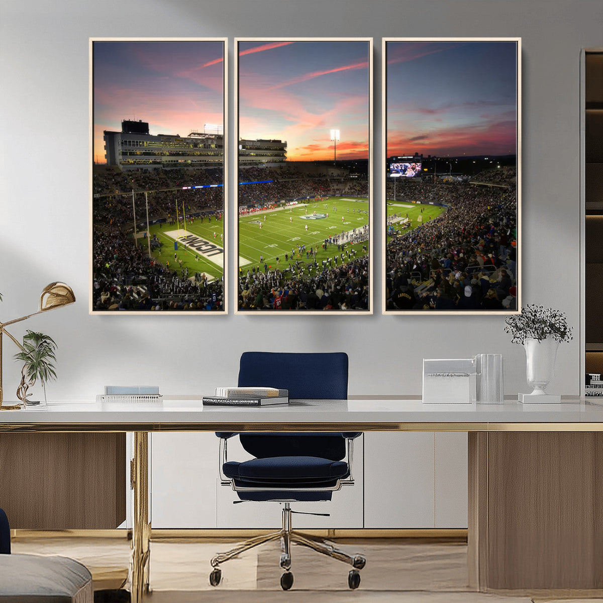 The University of Connecticut UCONN Huskies Football Team