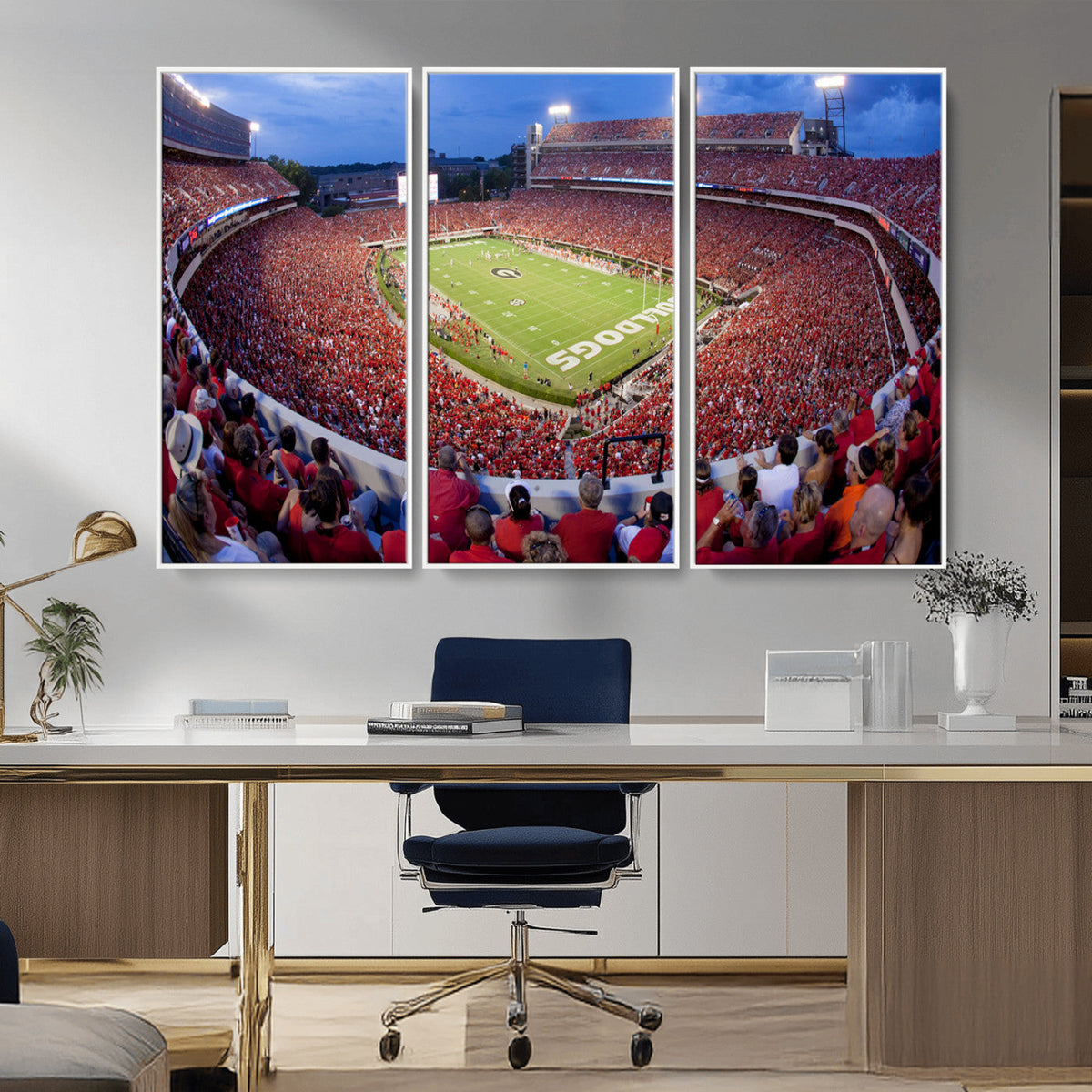 Dooley Stadium Wall Art, Sports Arena Canvas Print, Dooley