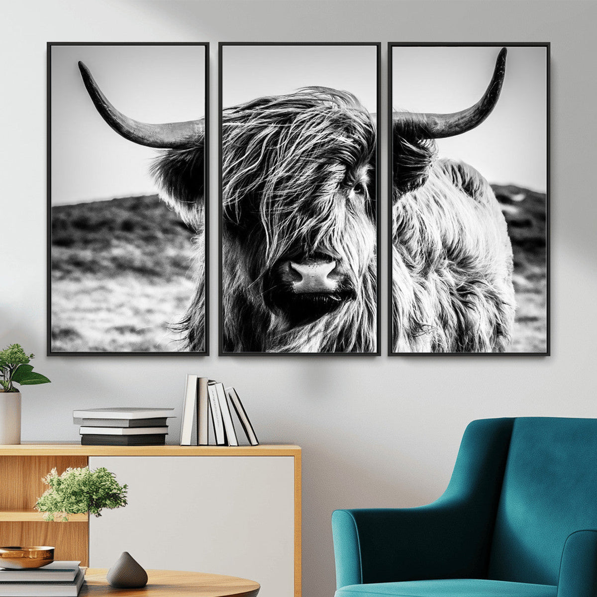 Black and White Scottish Cow Canvas Wall Art Highland Cattle