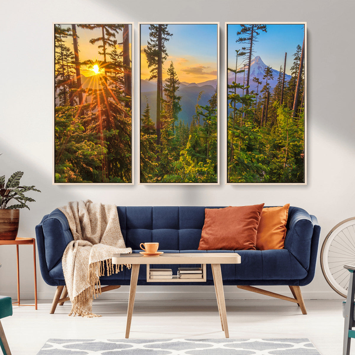 Forest Sunset Wall Art Canvas Print, Glowing Evening Light