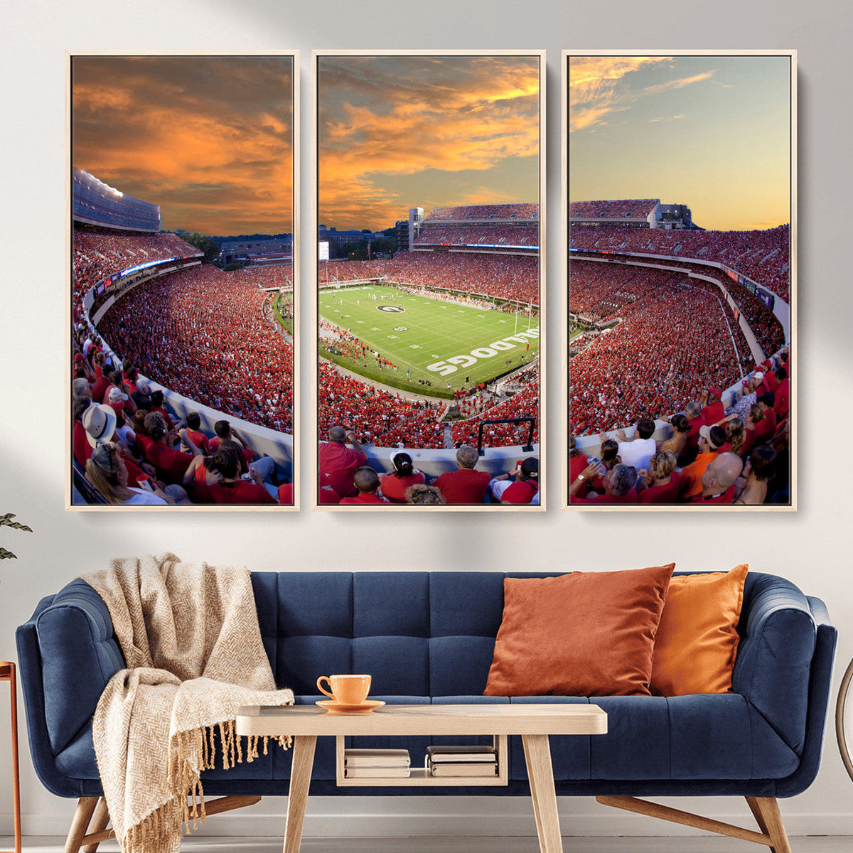 Dooley Stadium Wall Art, Sports Arena Canvas Print, Dooley