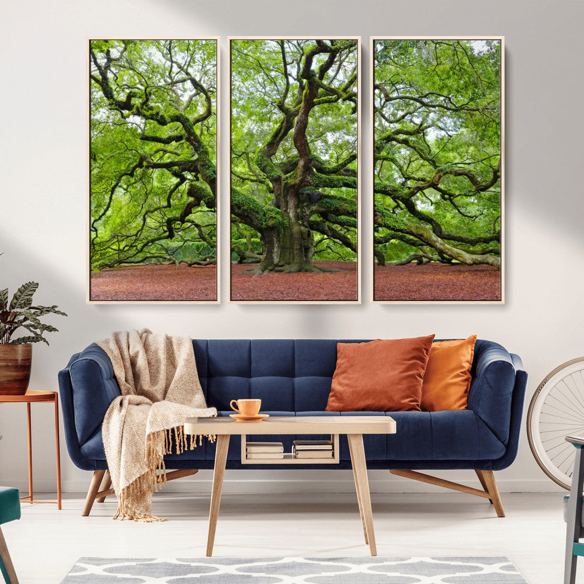 Framed Angel Oak Tree Wall Art - 3-Panel Canvas Prints,