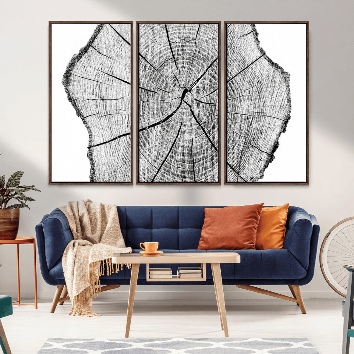 Rustic Tree Ring Wall Art Canvas Print – Framed and Ready to