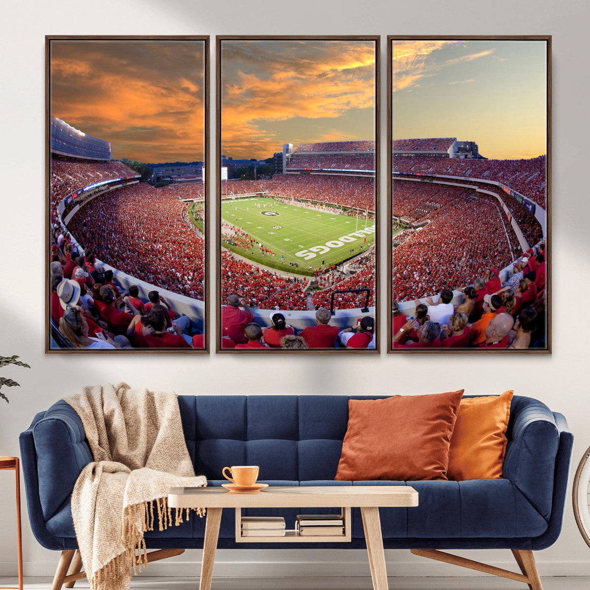 Dooley Stadium Wall Art, Sports Arena Canvas Print, Dooley