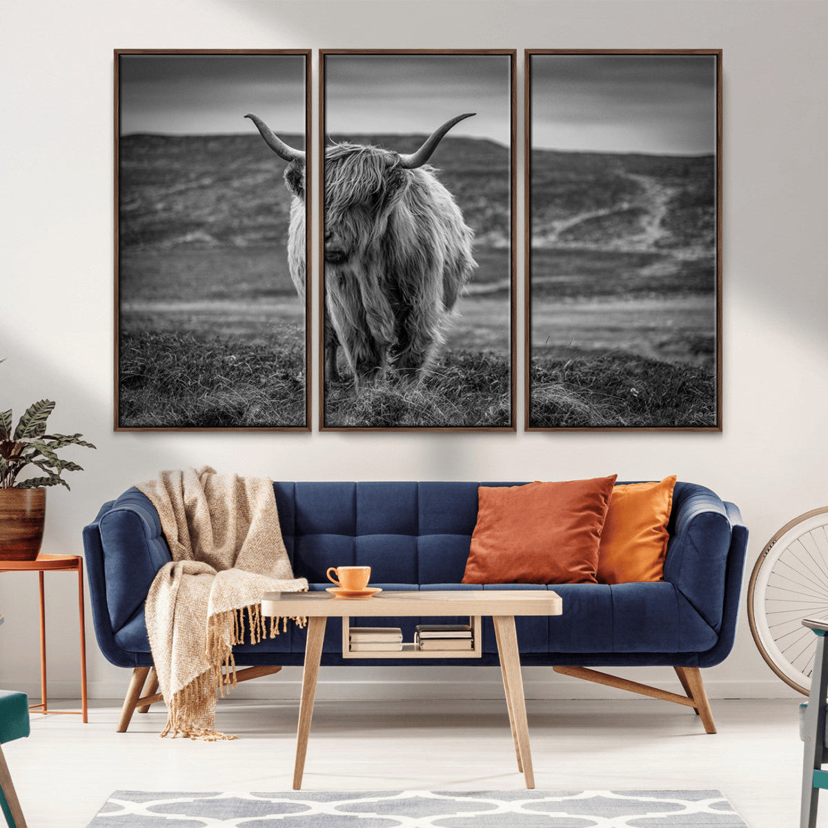 Fluffy Cattle Wall Art Print, Highland Cow Canvas, Framed