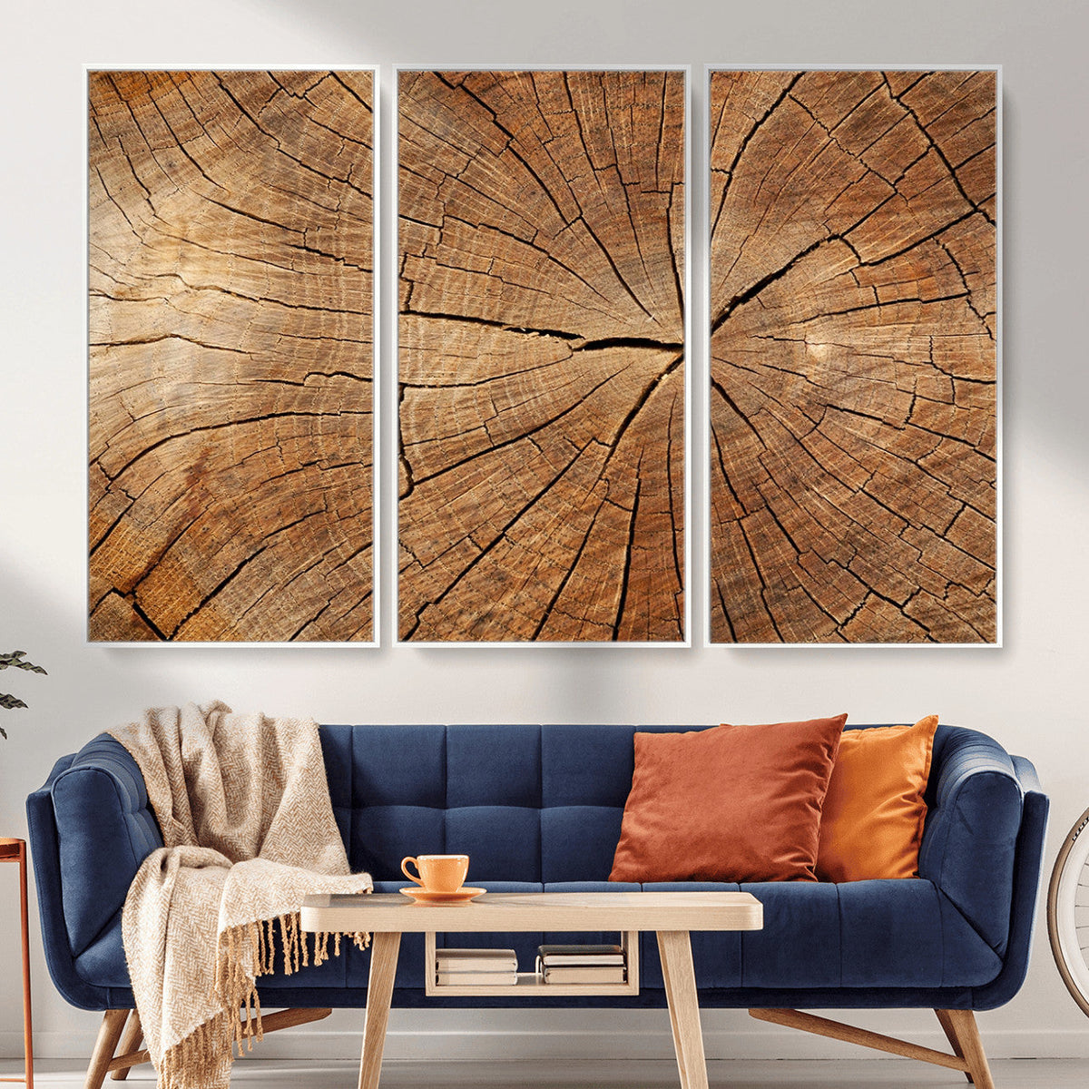 Tree Ring Canvas Art, Rustic Wood Grain Wall Art, Tree Slice
