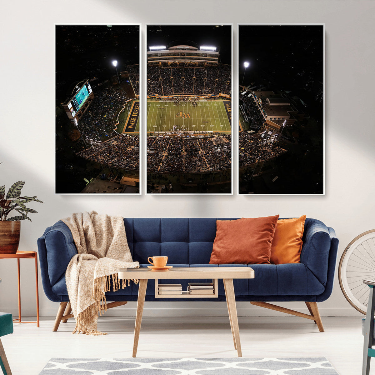 Wake Forest University Demon Deacons Canvas Printi, Football
