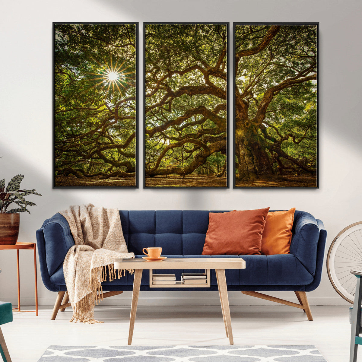 Ancient Angel Oak Tree Art Sunburst Canvas Print-