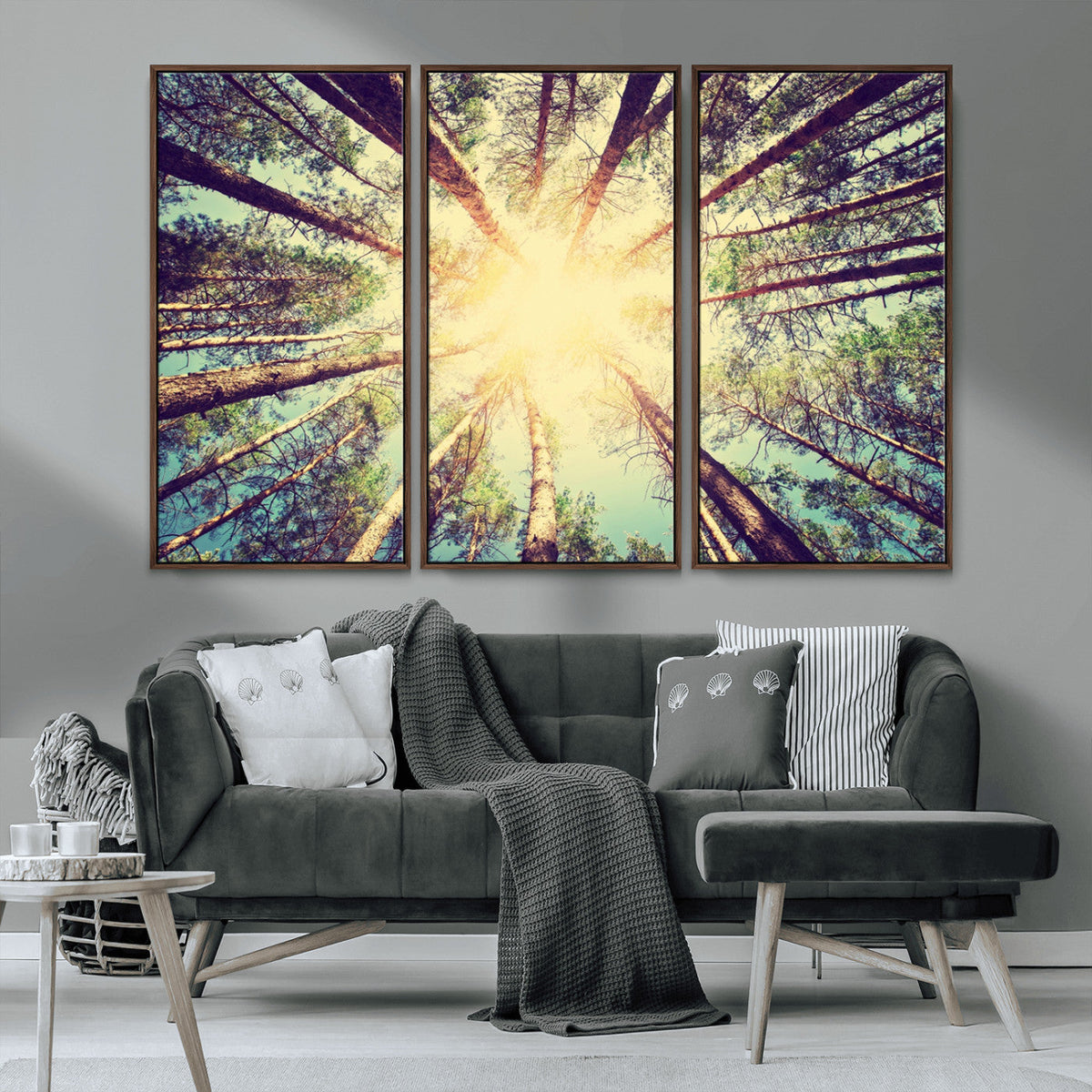 Tree and Sunshine Canvas Print