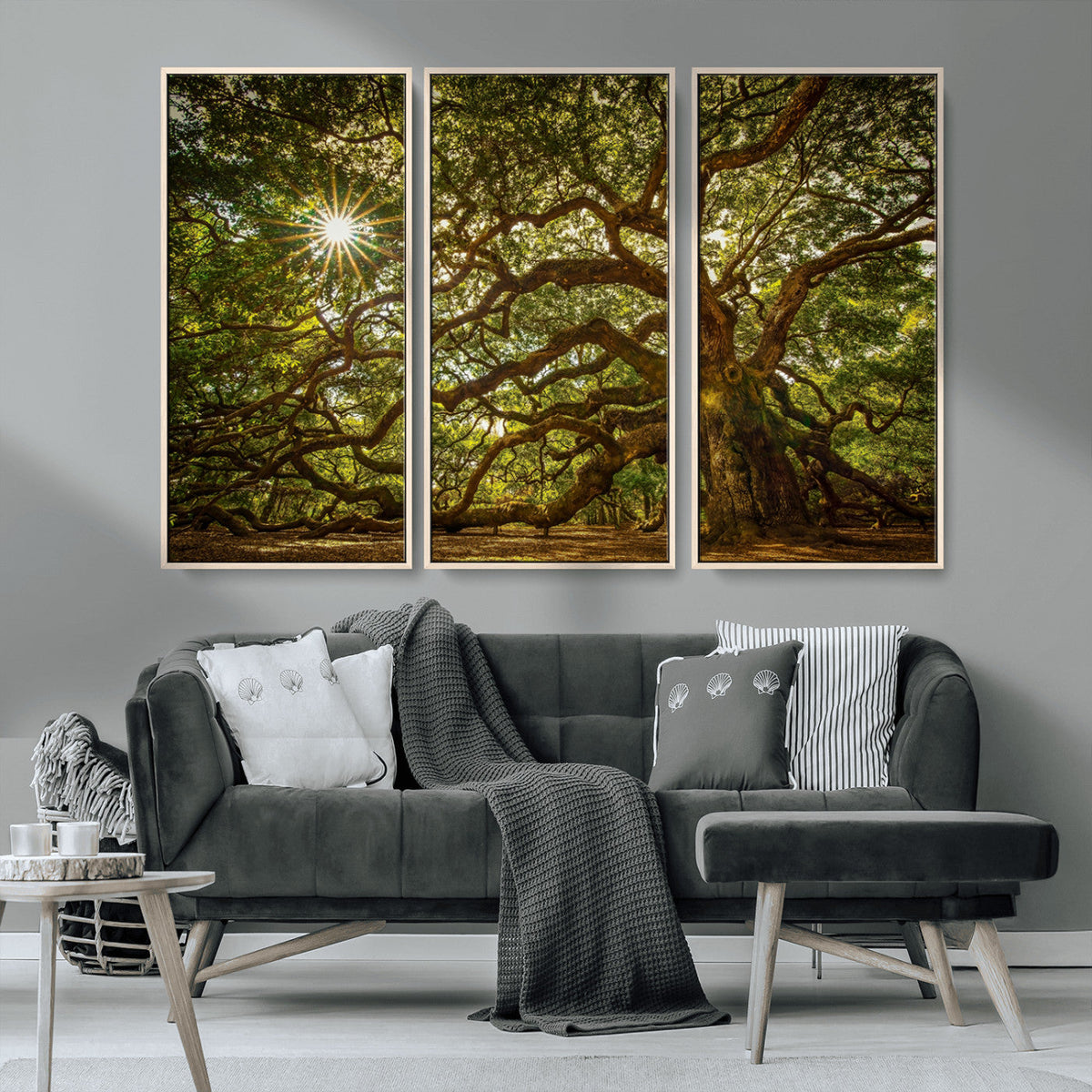 Ancient Angel Oak Tree Art Sunburst Canvas Print-