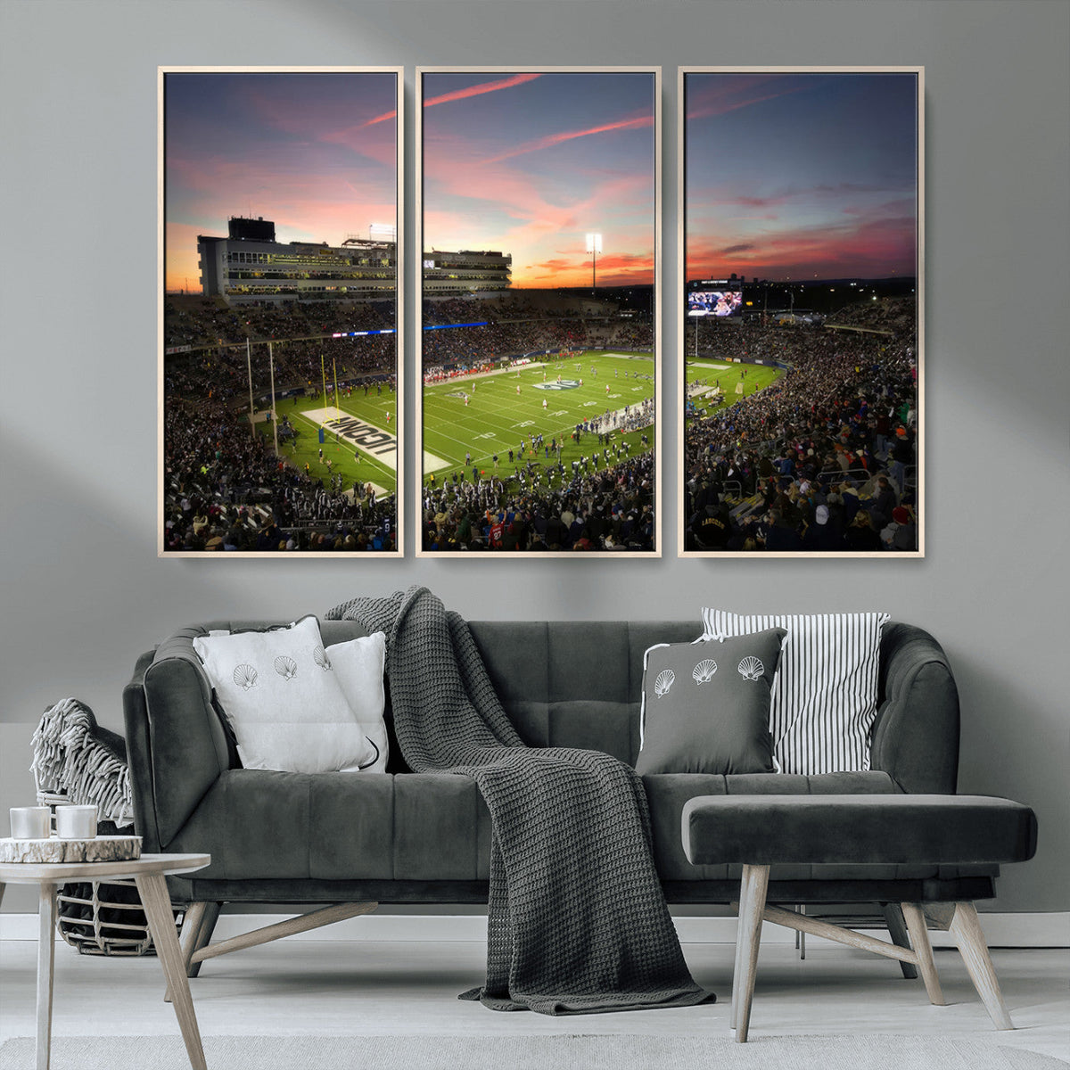 The University of Connecticut UCONN Huskies Football Team