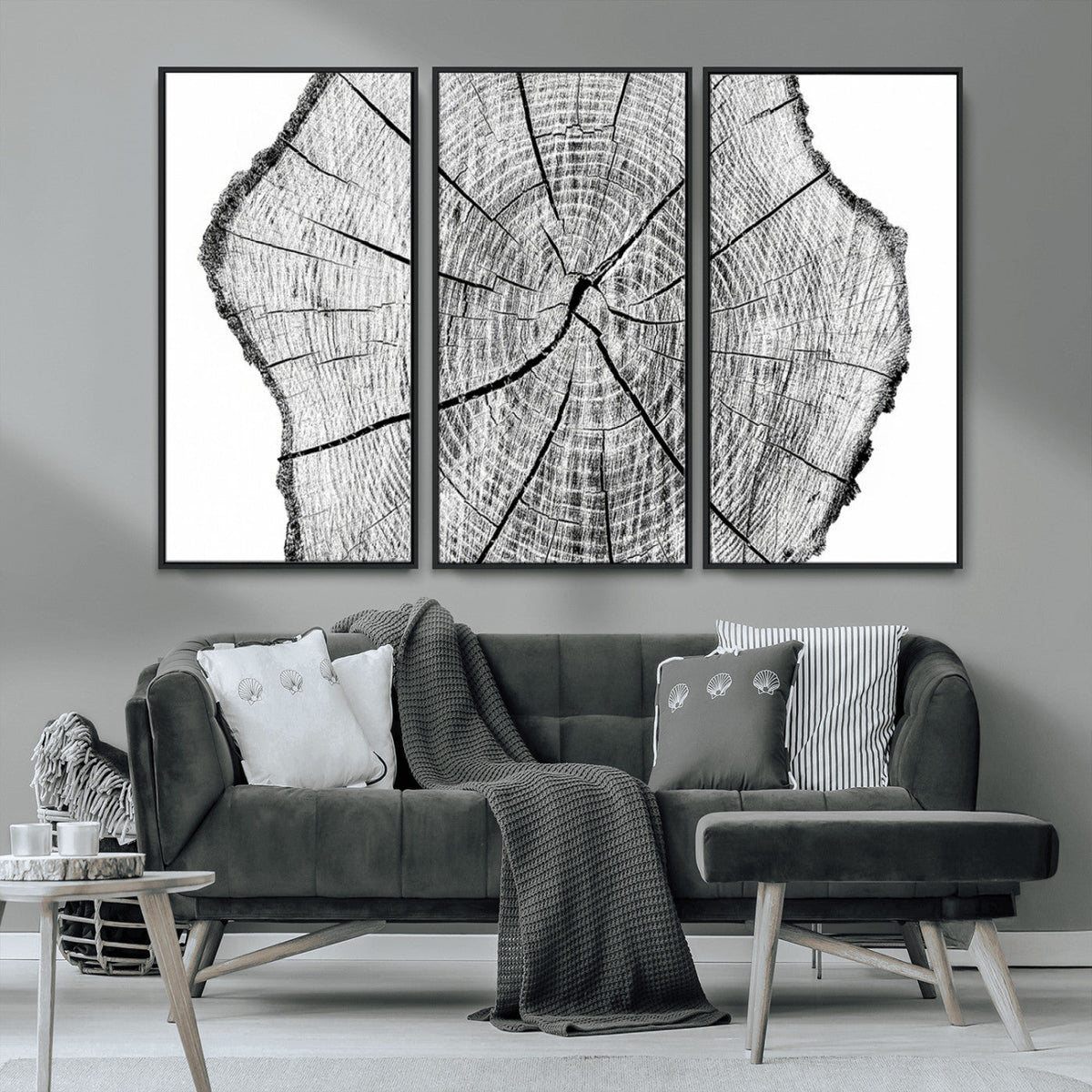 Rustic Tree Ring Wall Art Canvas Print – Framed and Ready to