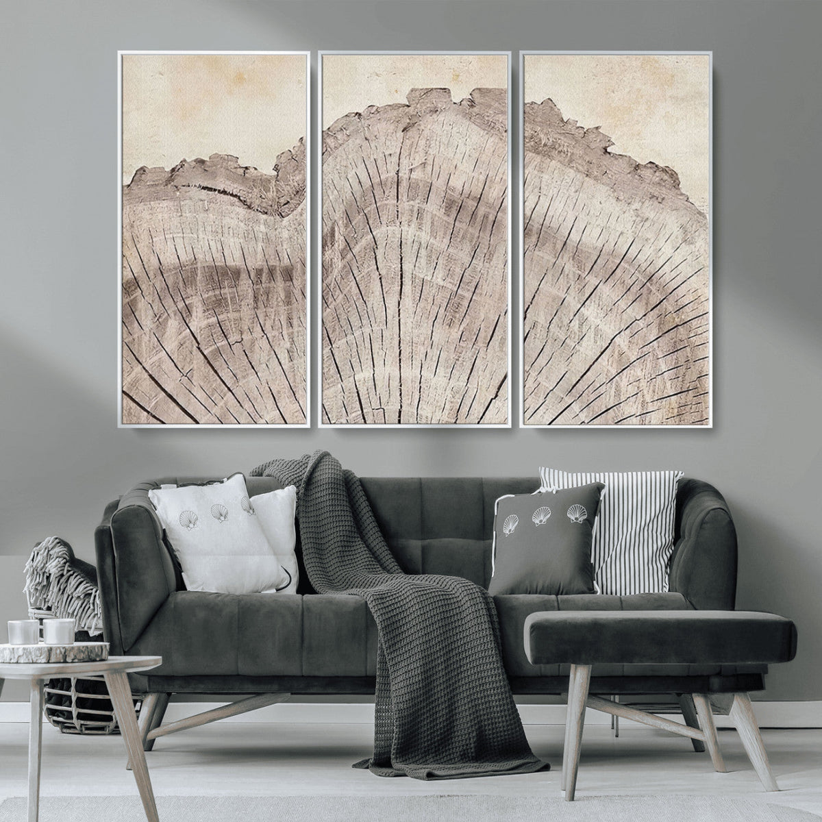 Tree Ring Wall Art Triptych, Rustic Wood Ring Canvas Print,