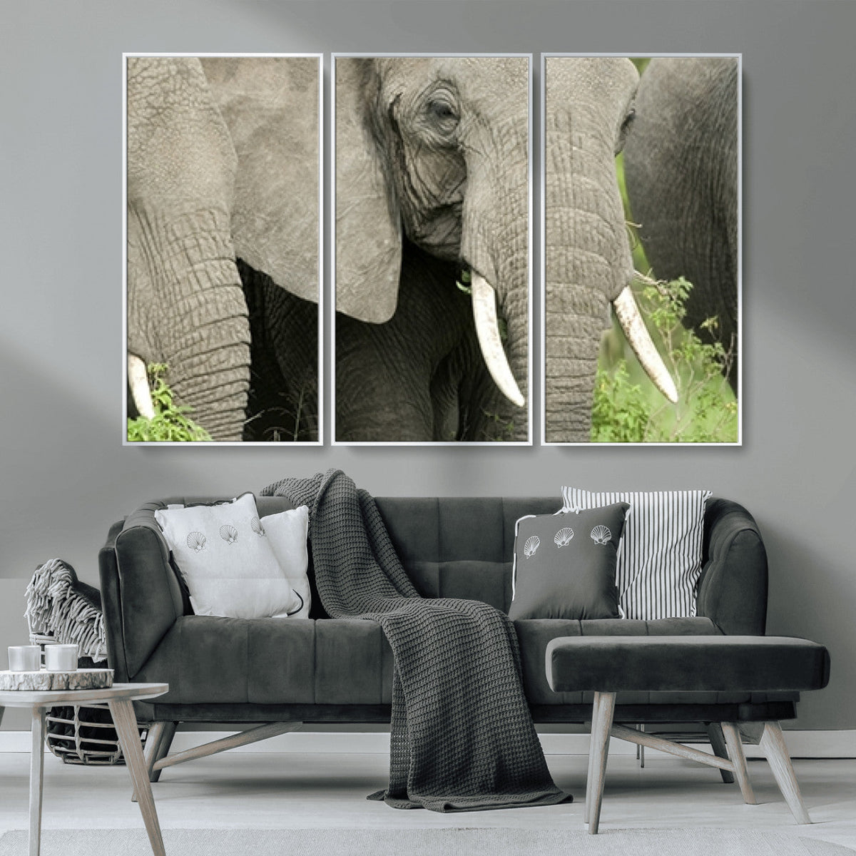 Wild Elephant Wall Art Canvas Print