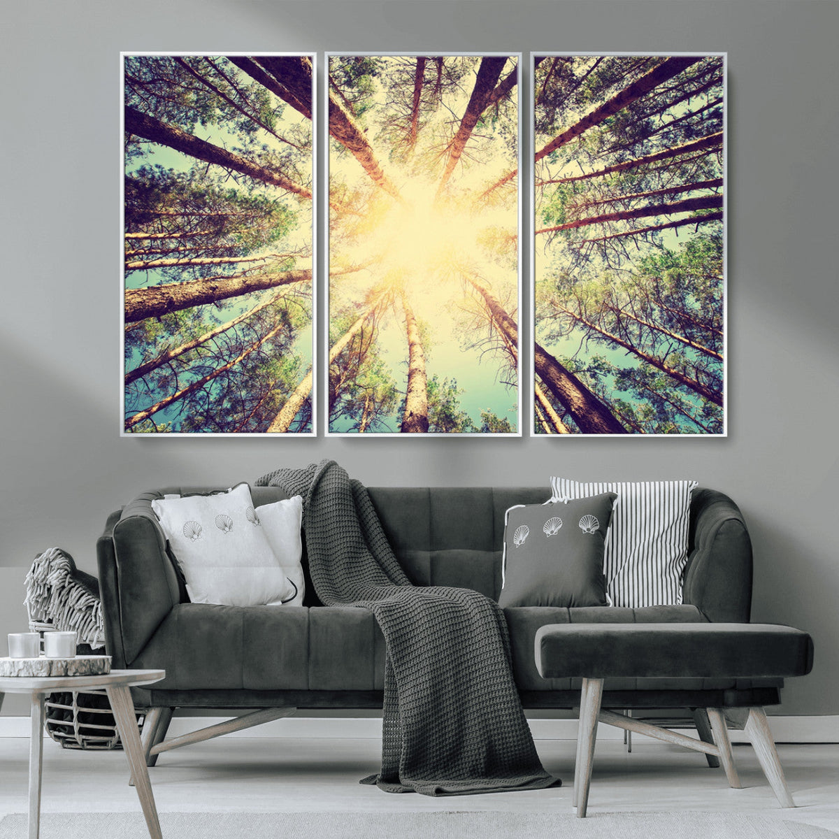 Tree and Sunshine Canvas Print