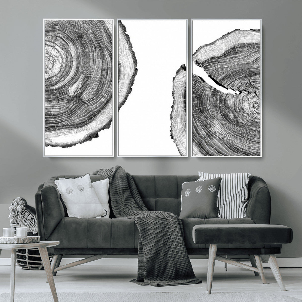 Abstract Large Tree Rings – Minimalist Black and White Wood