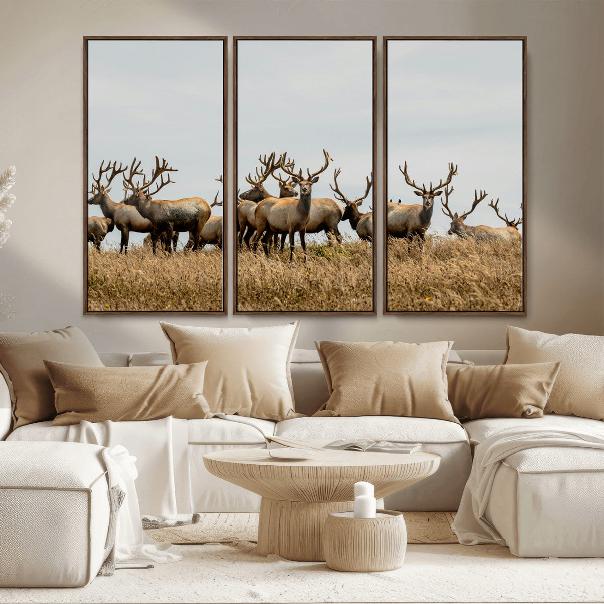 Elk Herd Wall Art Canvas Print – Framed Wildlife Photography