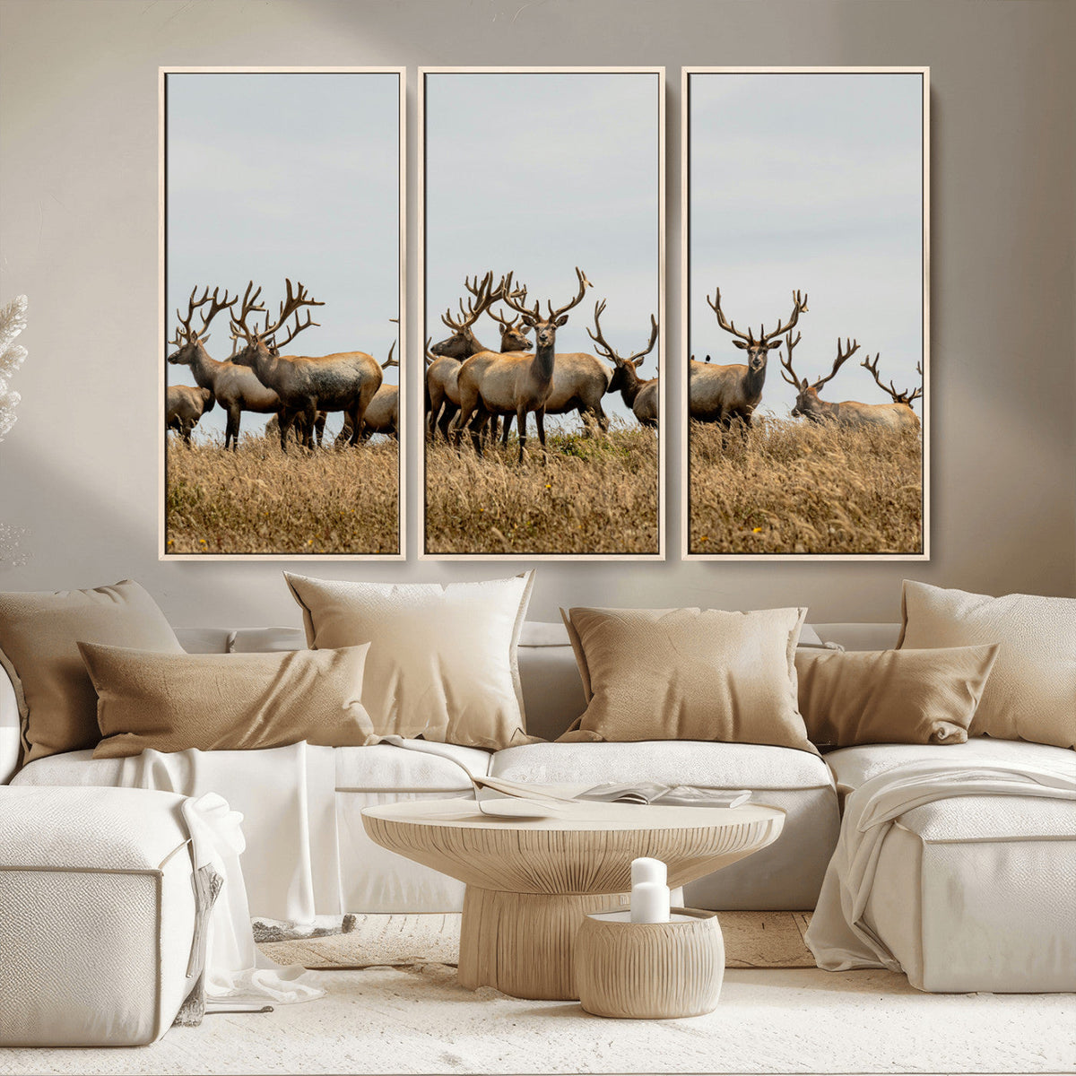 Elk Herd Wall Art Canvas Print – Framed Wildlife Photography