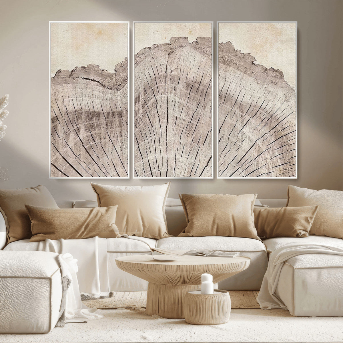 Tree Ring Wall Art Triptych, Rustic Wood Ring Canvas Print,