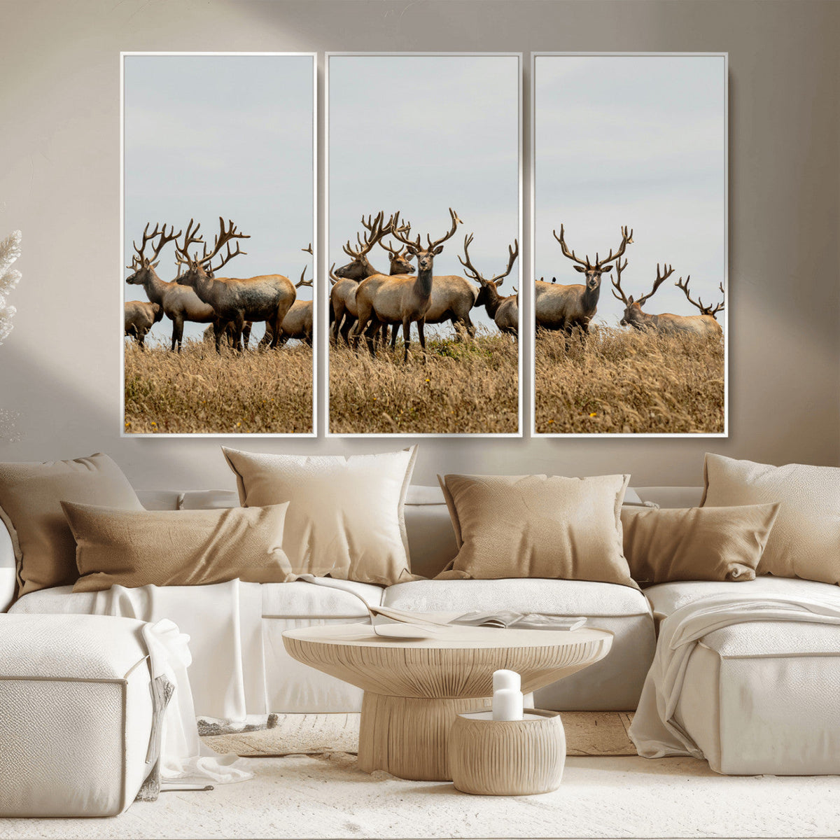 Elk Herd Wall Art Canvas Print – Framed Wildlife Photography