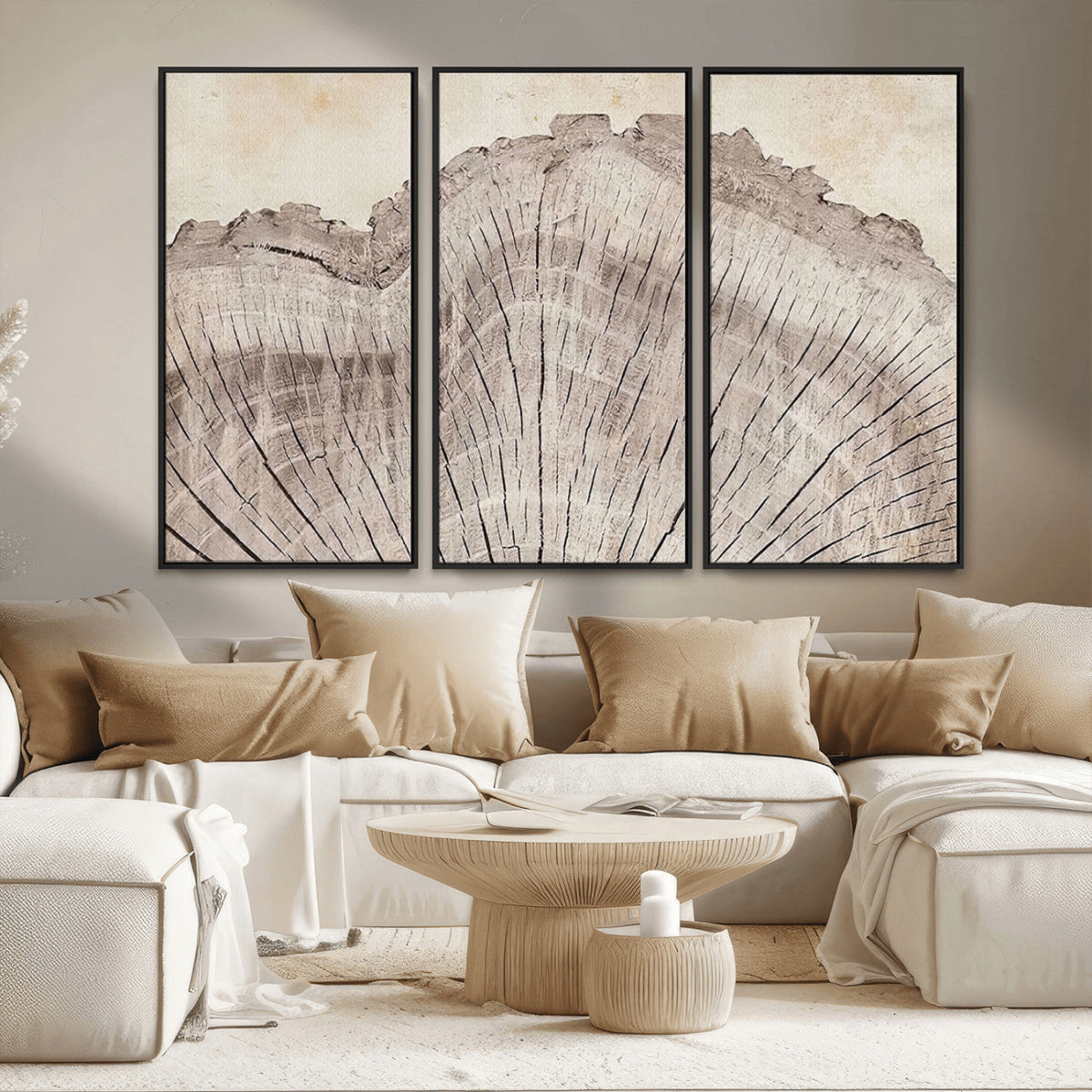 Tree Ring Wall Art Triptych, Rustic Wood Ring Canvas Print,