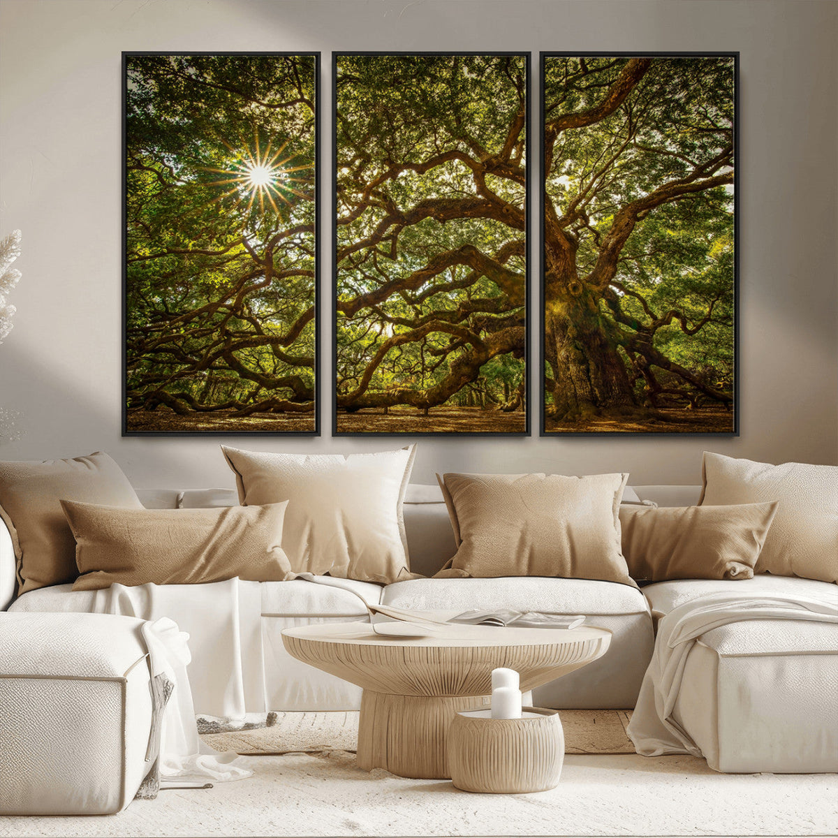 Ancient Angel Oak Tree Art Sunburst Canvas Print-