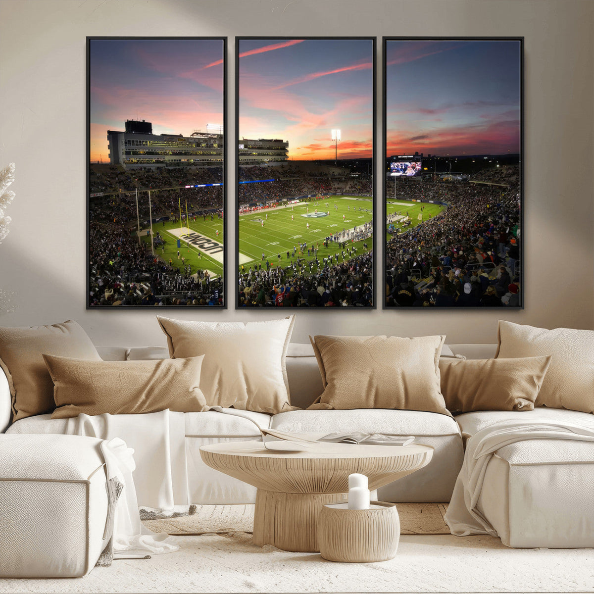 The University of Connecticut UCONN Huskies Football Team
