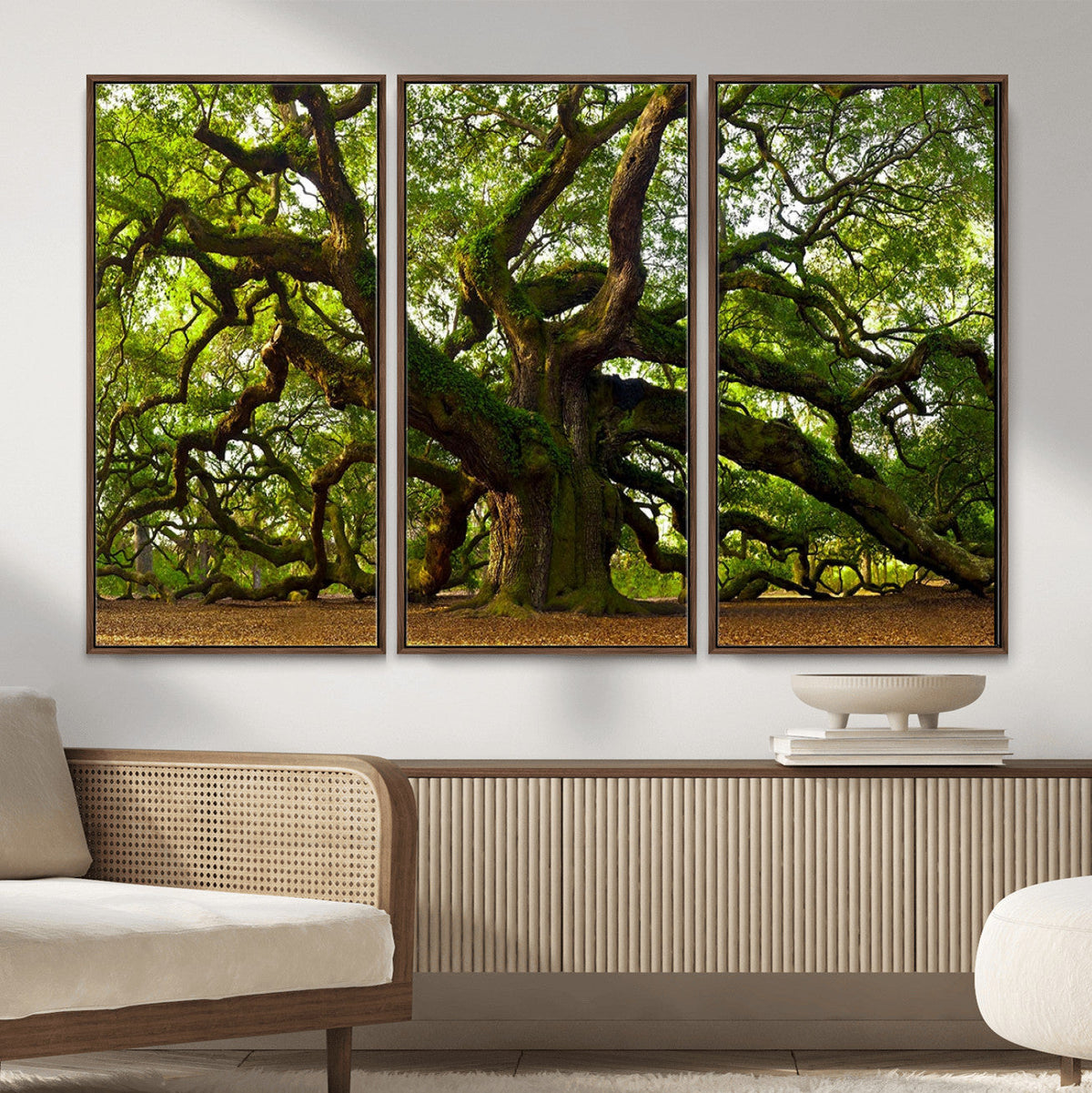 Angel Oak Tree Wall Art Canvas Print | Forest Tree Nature