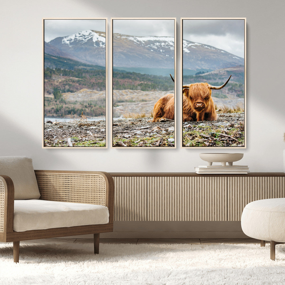 Highland Cow Horn Farm Wall Art Canvas Print