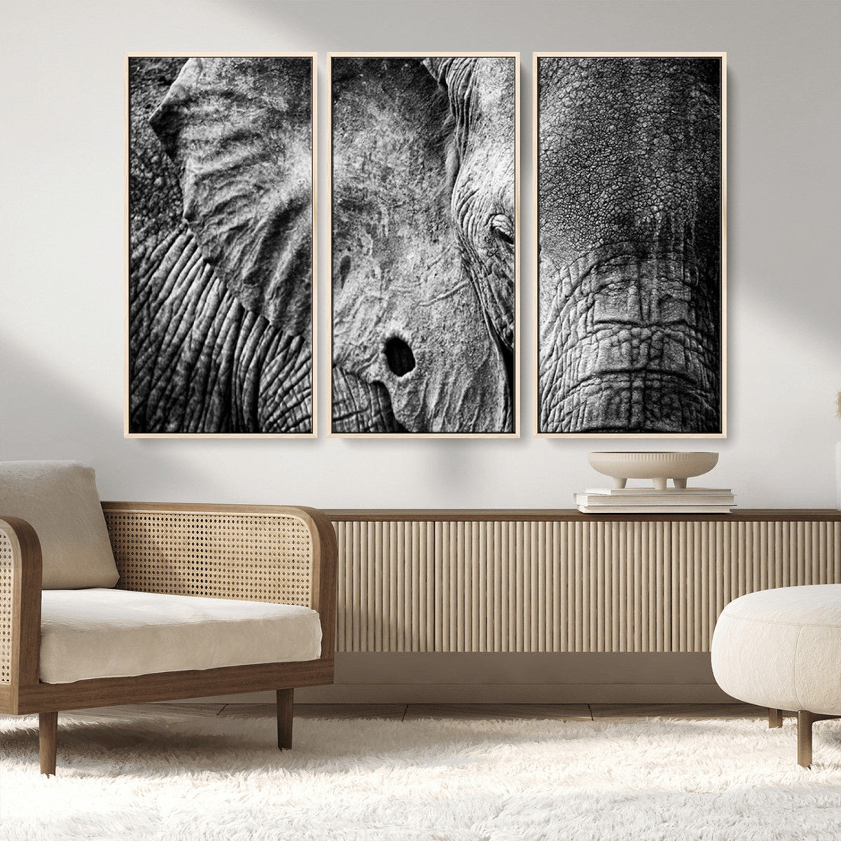 Wild Old Elephant Wall Art Canvas Print
