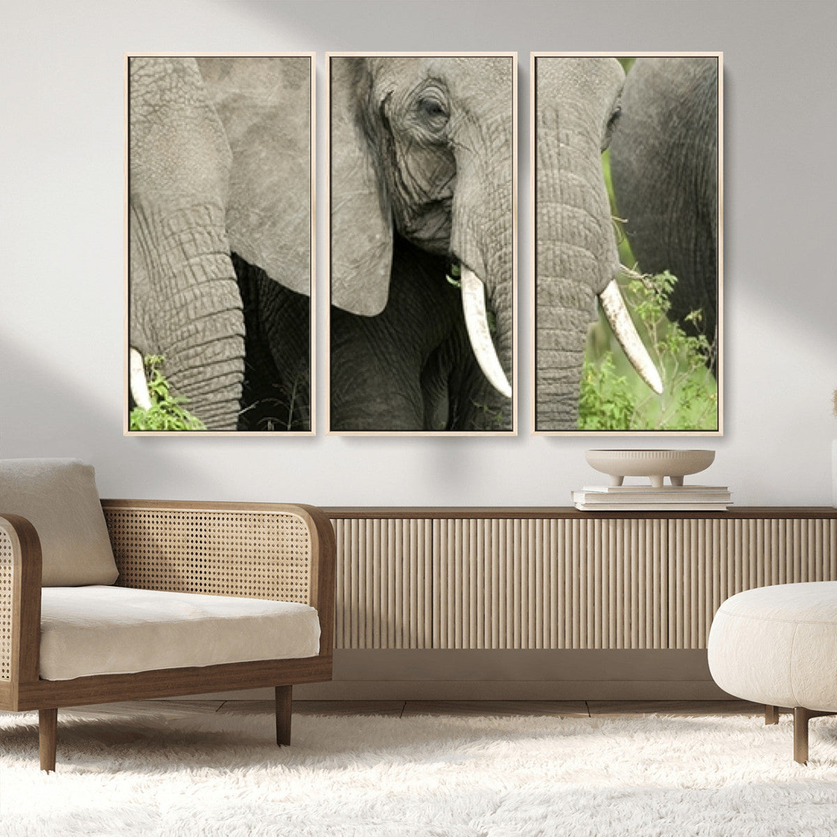 Wild Elephant Wall Art Canvas Print