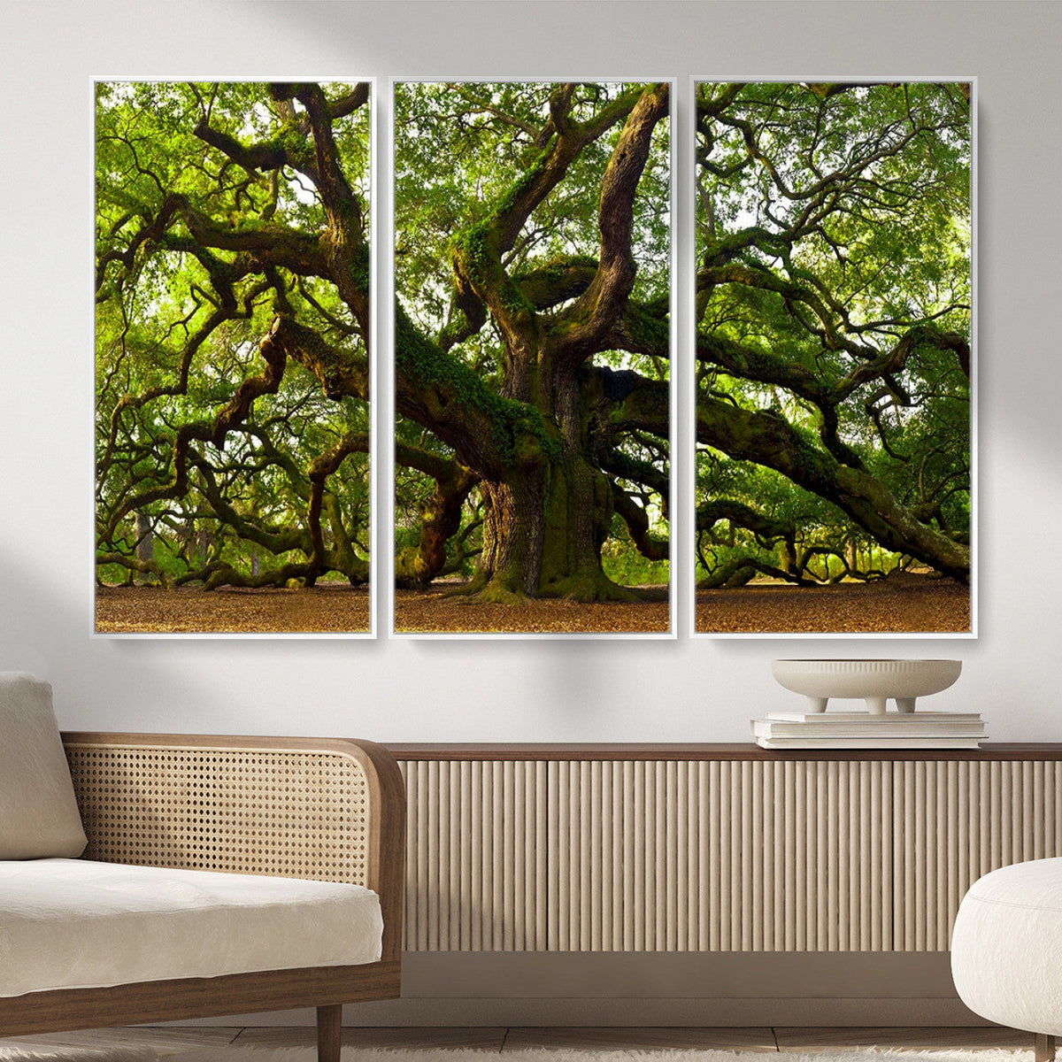 Angel Oak Tree Wall Art Canvas Print | Forest Tree Nature