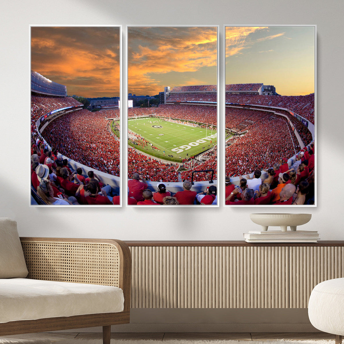 Dooley Stadium Wall Art, Sports Arena Canvas Print, Dooley