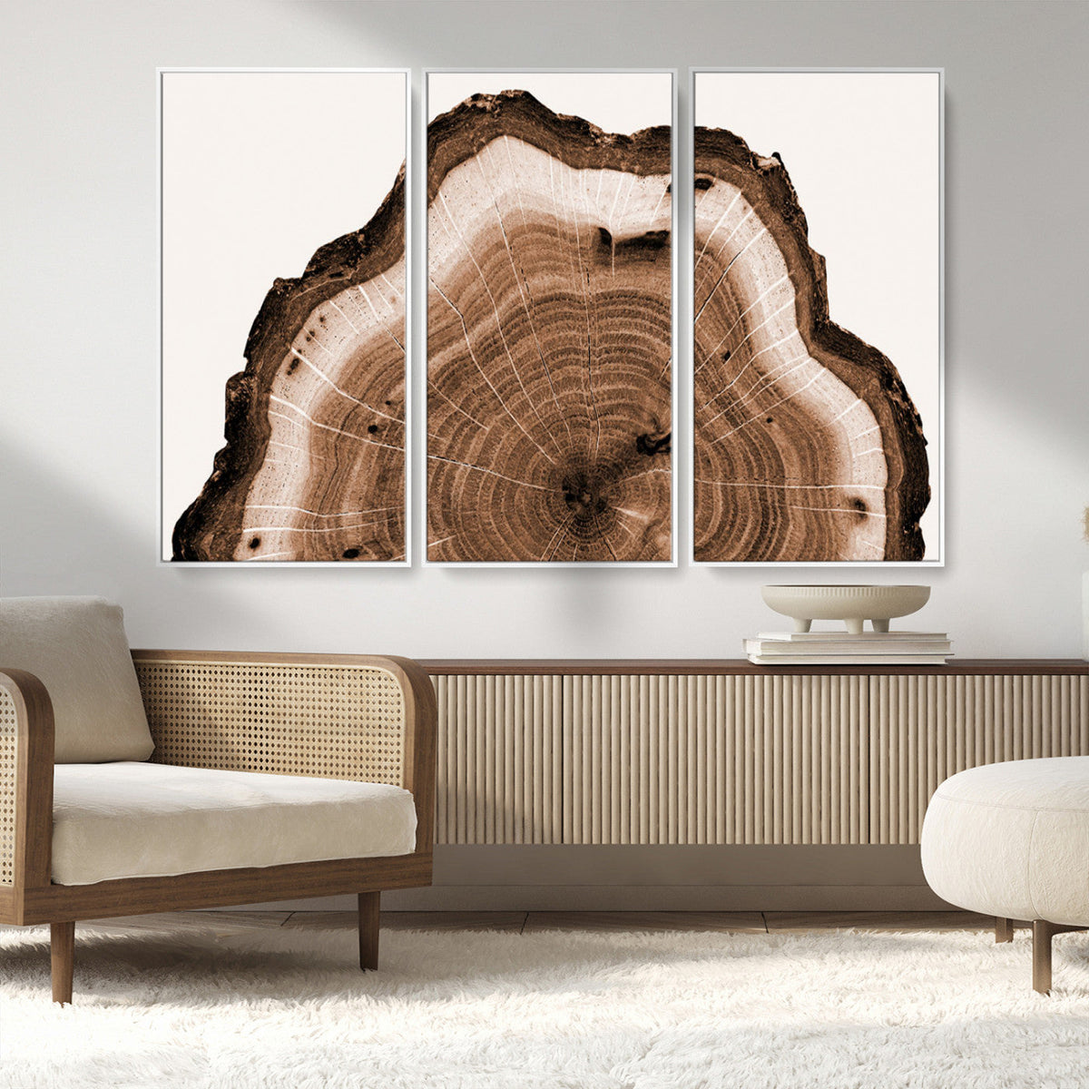 Rustic Wood Rings Wall Art | Nature-Inspired Tree Ring