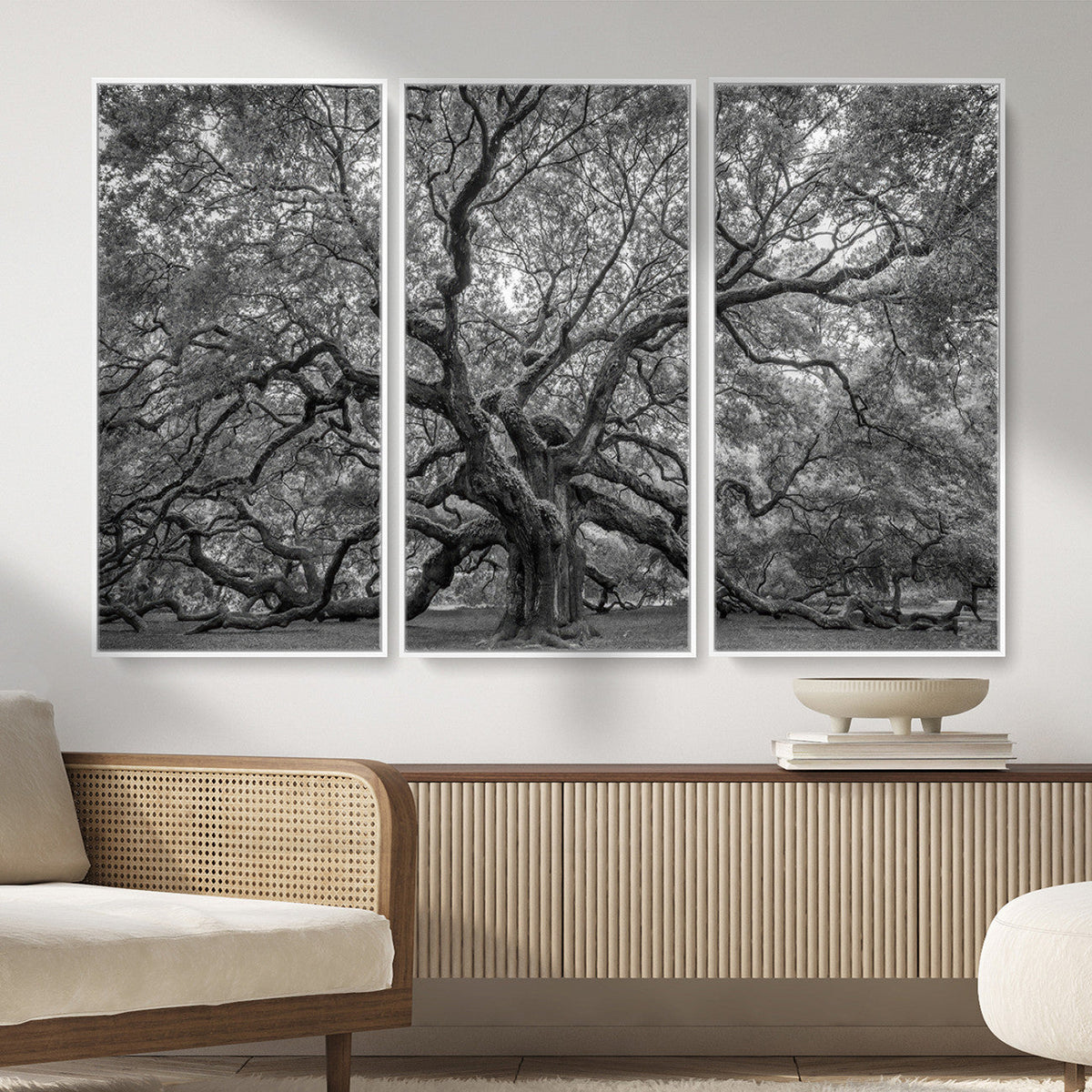 Majestic Angel Oak Tree Black and White Canvas Print – Multi