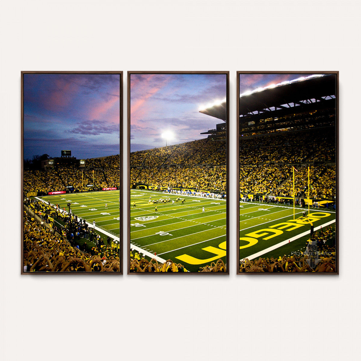 University of Oregon Ducks Football Team Print - Eugene