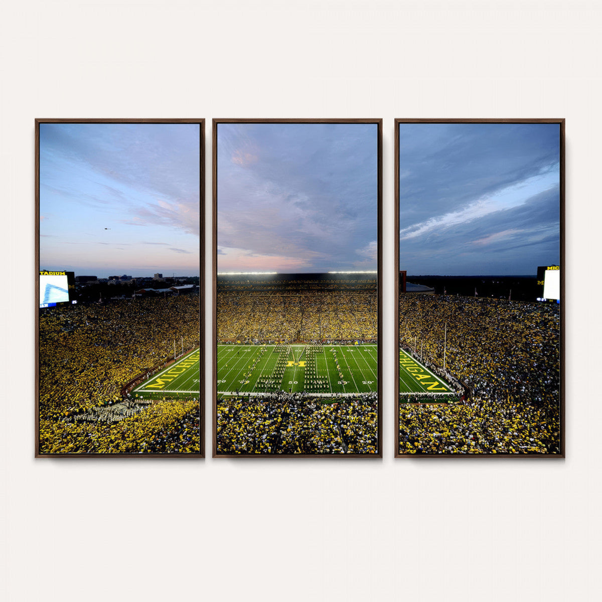 University of Michigan Wolverines Football Team Print - Ann